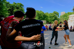 DSF2225DAME2Salsa