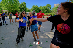 DSF2236DAME2Salsa