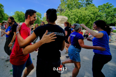 DSF2251DAME2Salsa