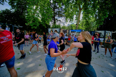 DSF2289DAME2Salsa