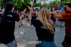 DSF2301DAME2Salsa