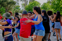 DSF2569DAME2Salsa