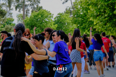 DSF2571DAME2Salsa