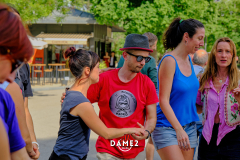 DSF2573DAME2Salsa