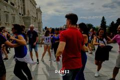 DSF3687DAME2Salsa