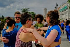 DSF3822DAME2Salsa